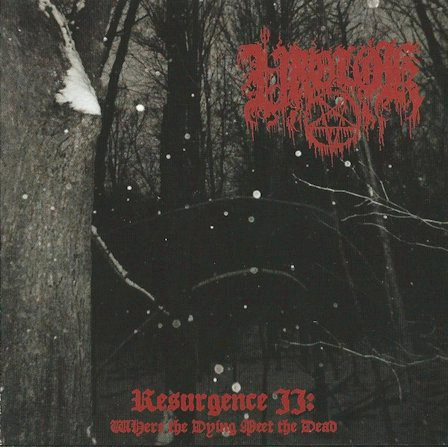 Resurgence II : Where the Dying Meet the Dead